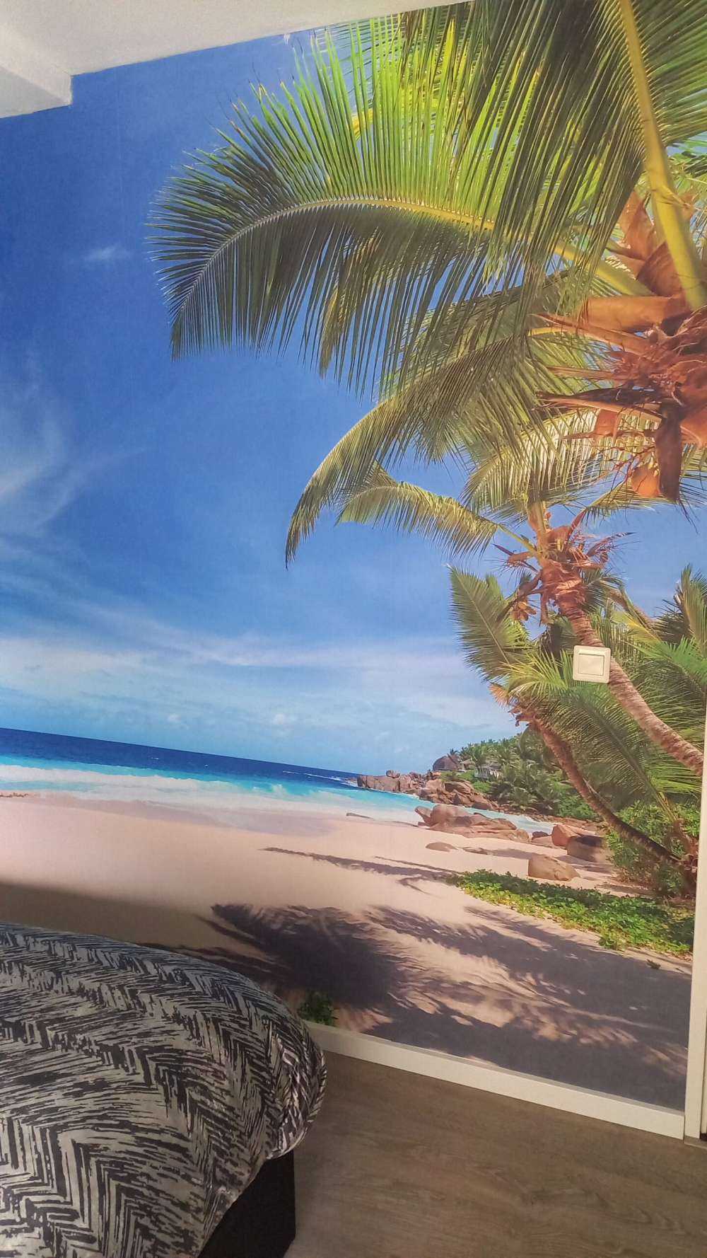 Tropical beach with palm tree