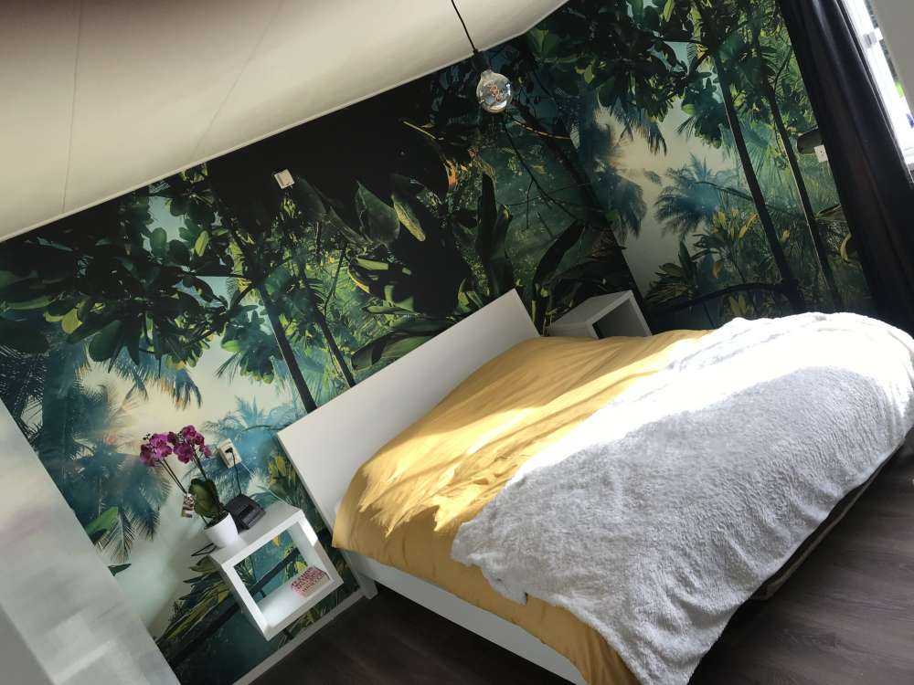 Mysterious jungle