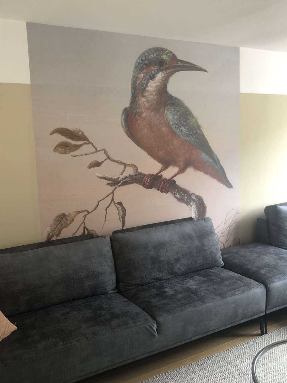 Kingfisher painting