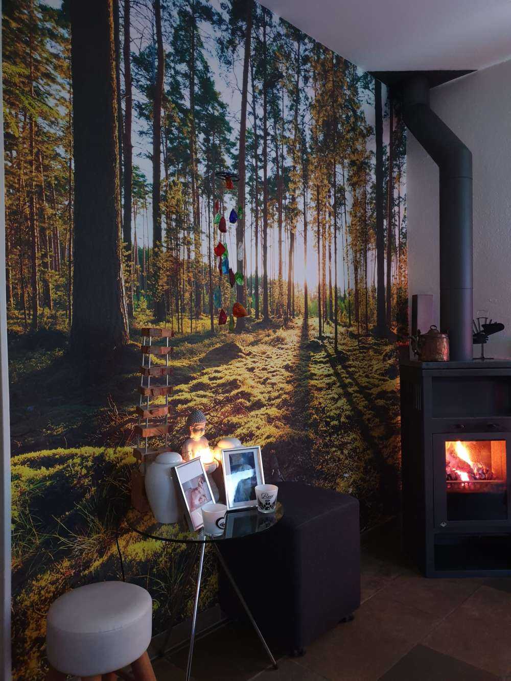 Pine forest