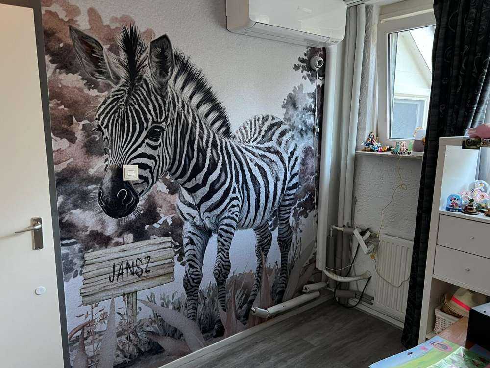 Young zebra in nature taupe