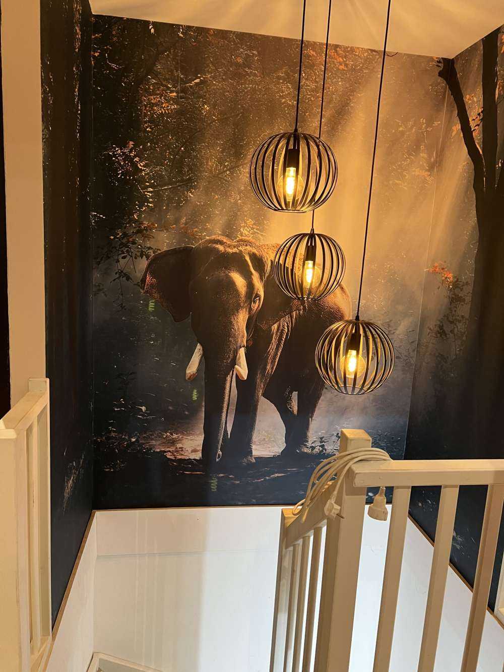 Elephant in a jungle