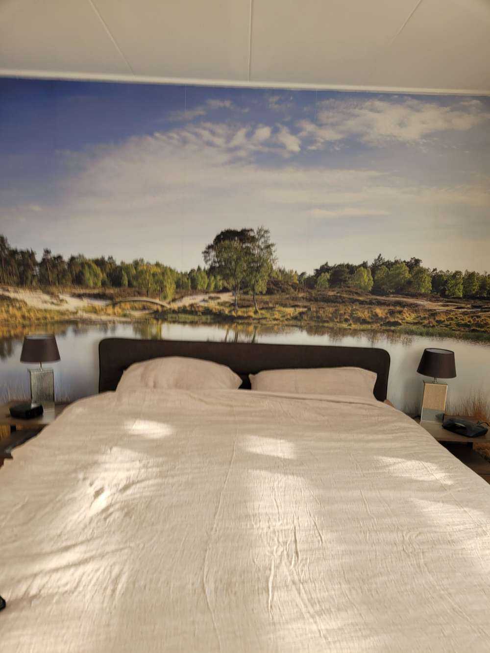 A small forest lake in the heathland area