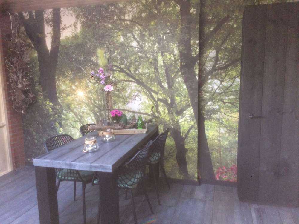 Sunrise at path with rhododendrons