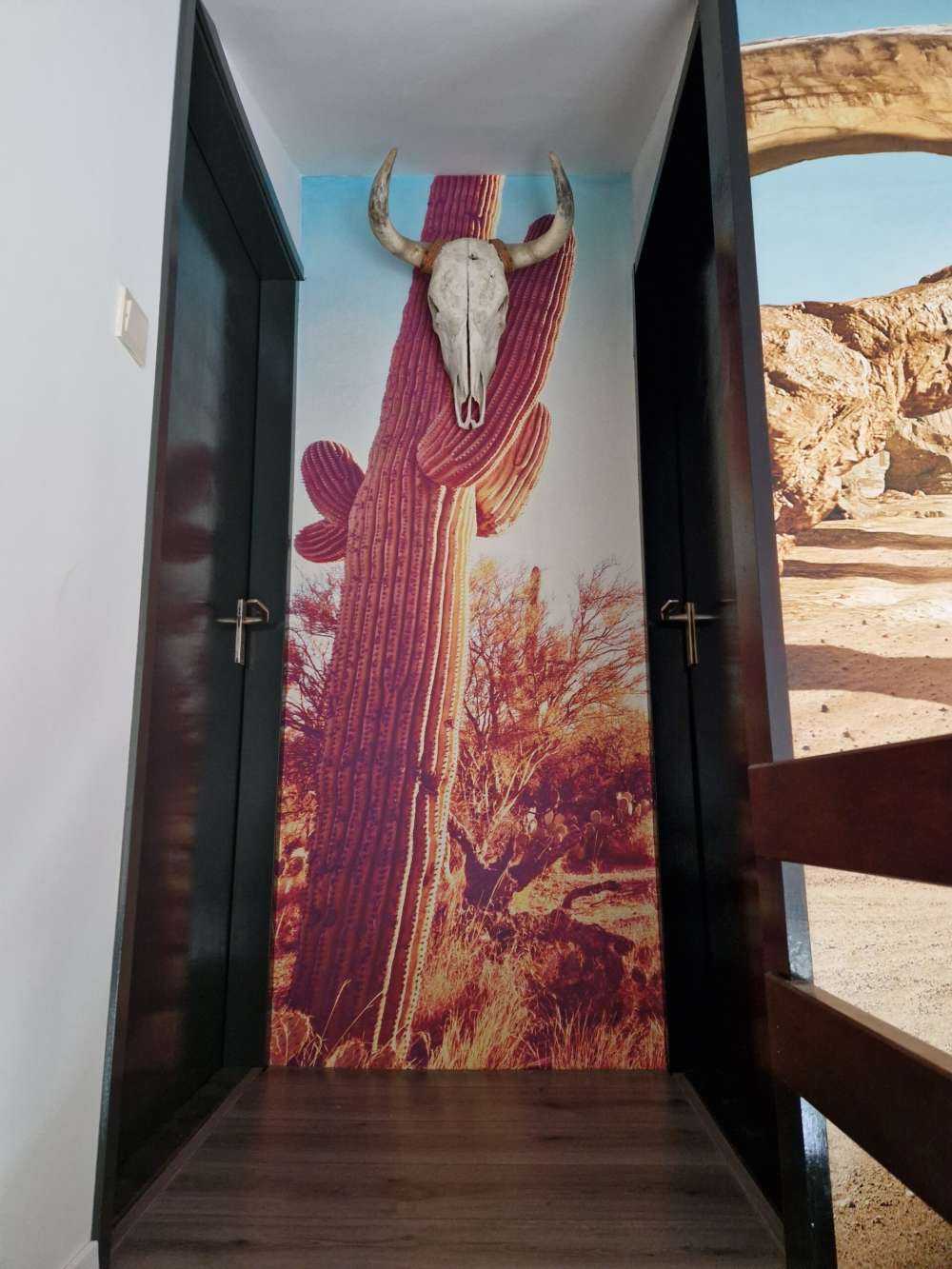 Cactus in the desert