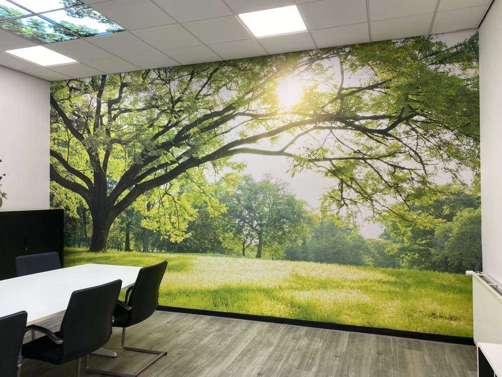 Beautiful tree with green grass