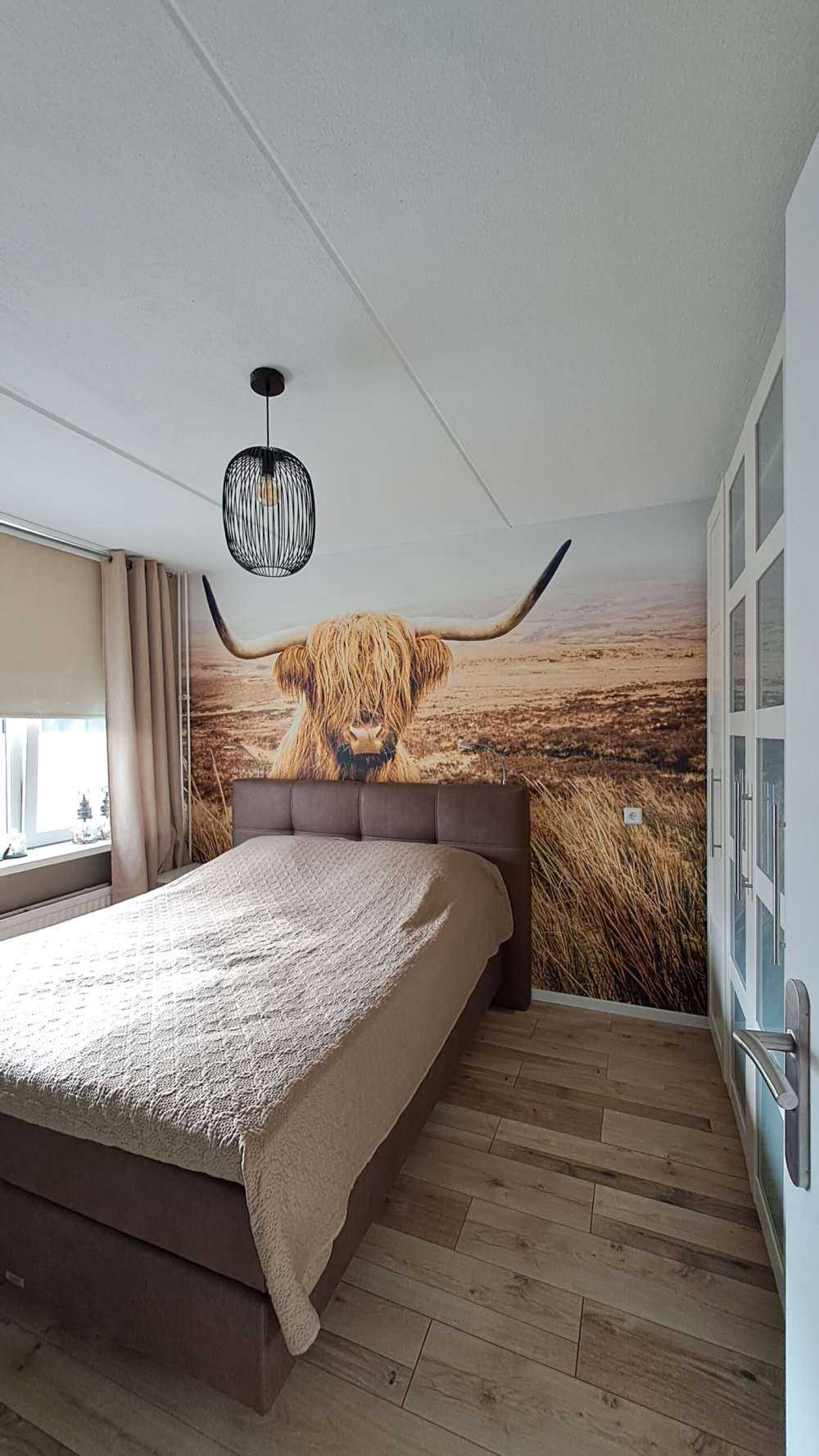 Scottish Highlander with reed