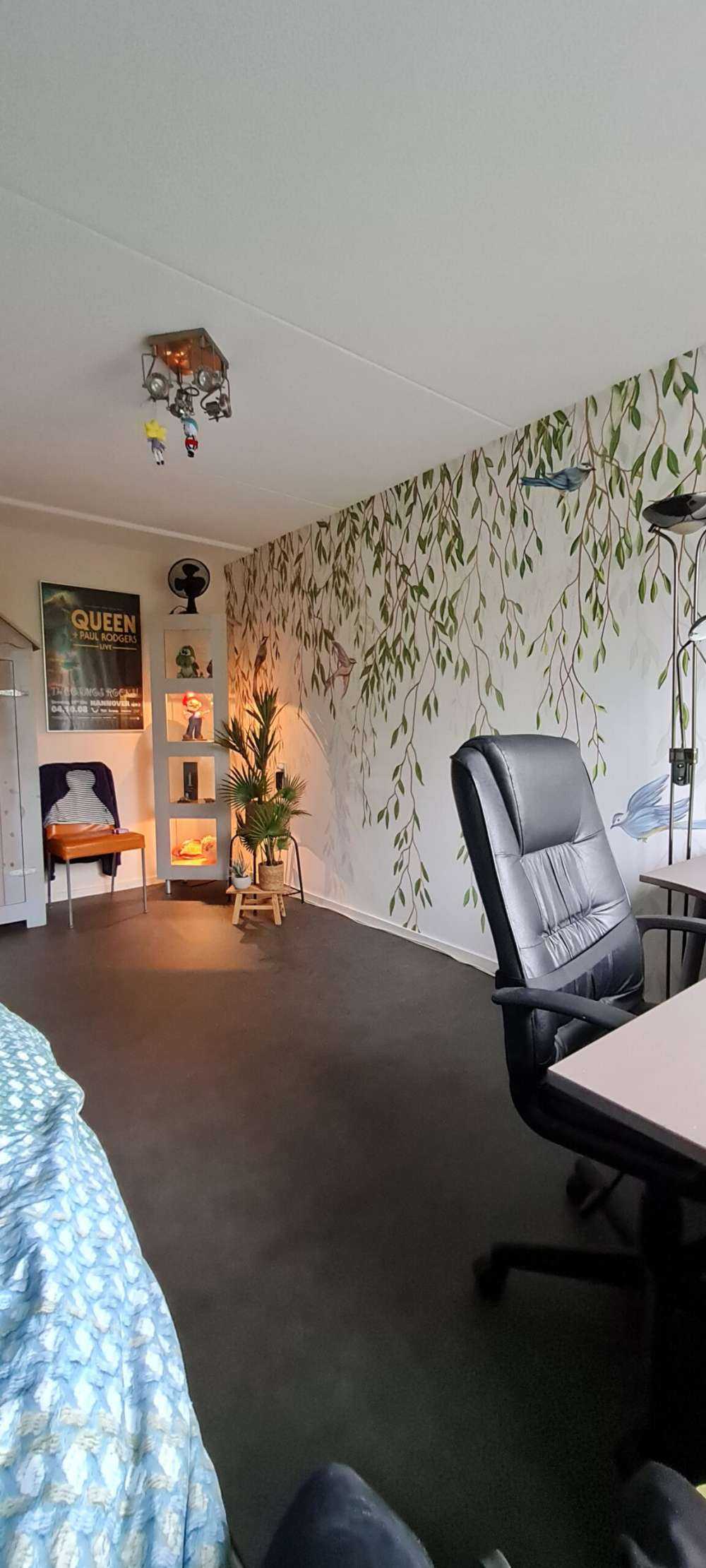 Hanging branches and birds