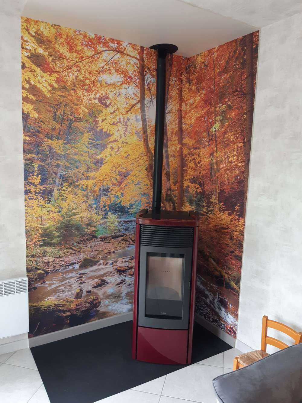 Autumn in wild forest