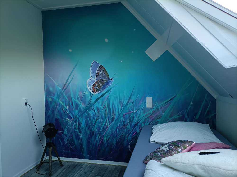 Butterfly in the morning dew