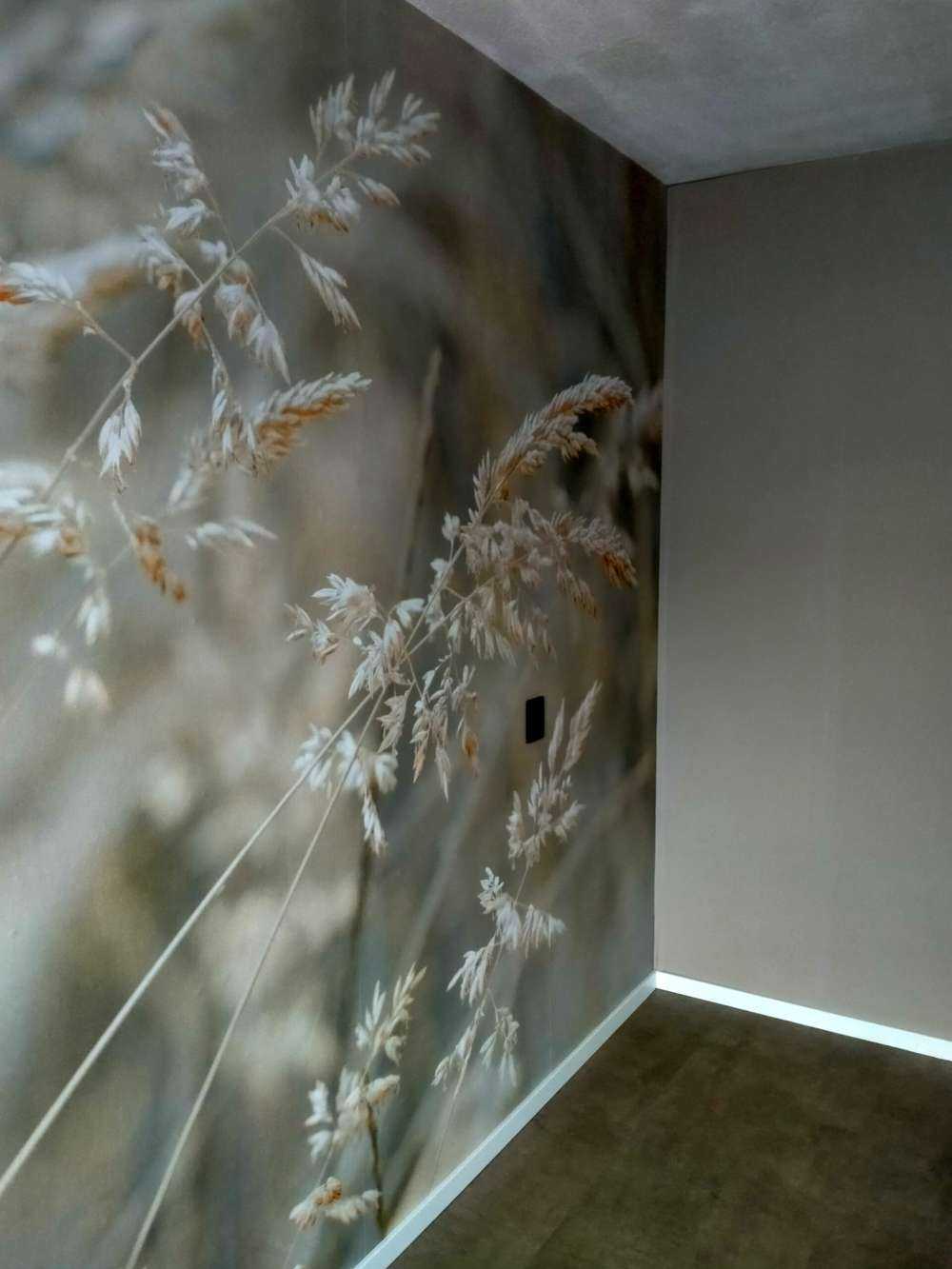 Close-up grass