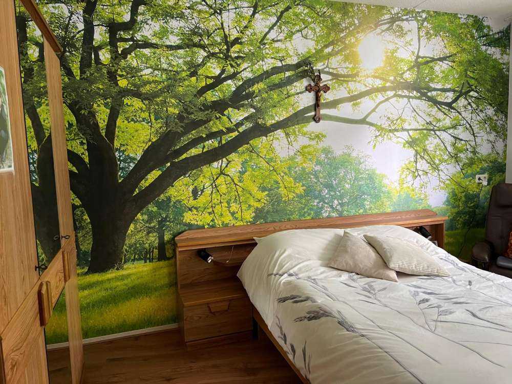 Beautiful tree with green grass