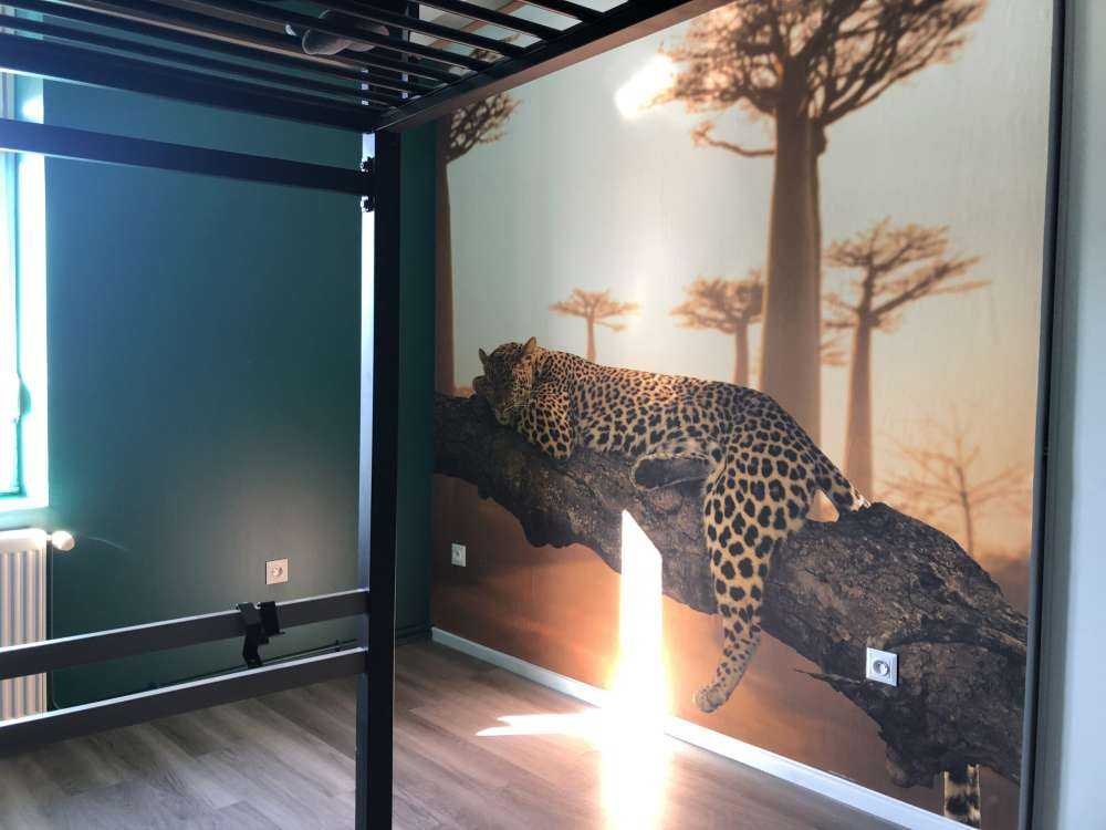 Sleeping leopard
