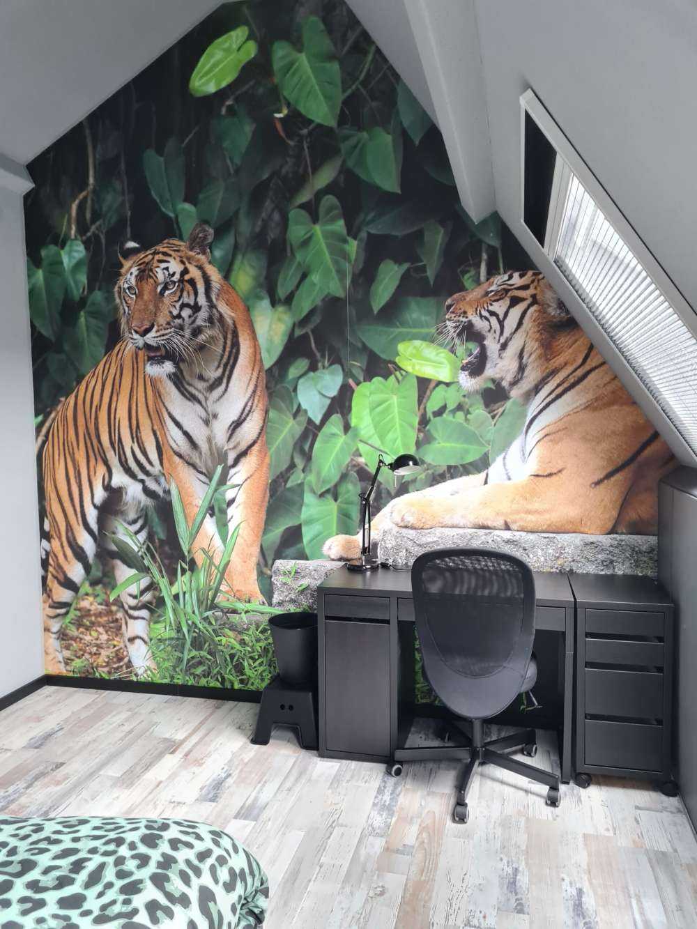 Tiger in the jungle