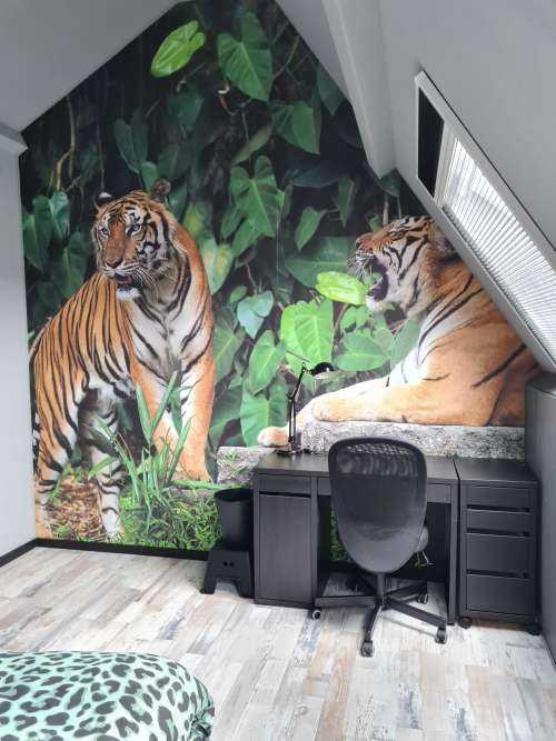 Tiger in the jungle