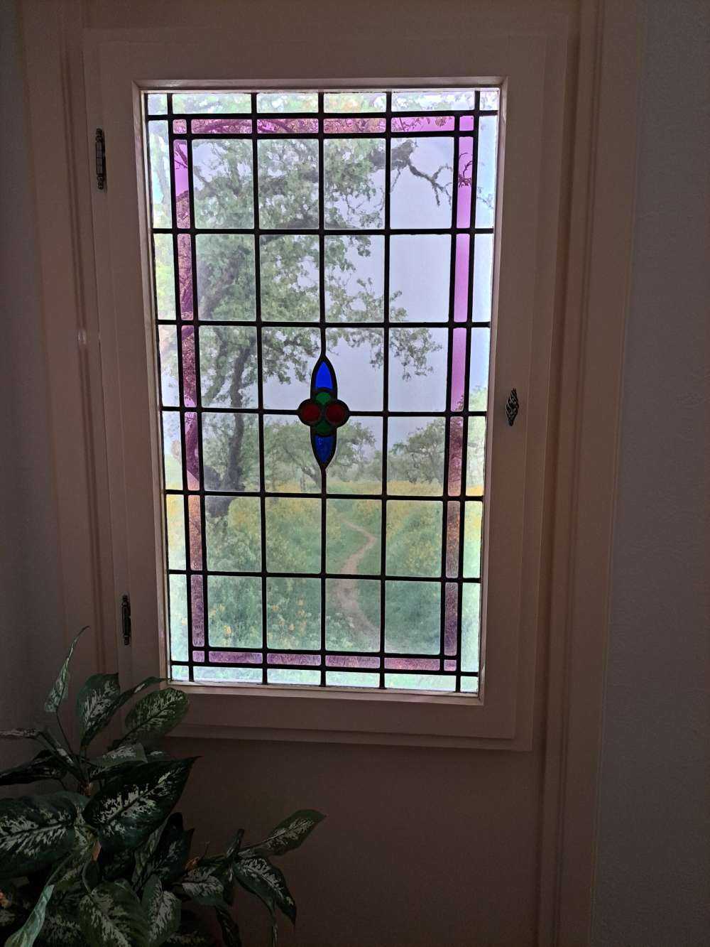 Path through hills with yellow flowers