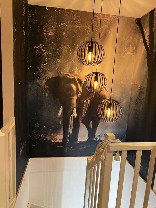 Elephant in a jungle