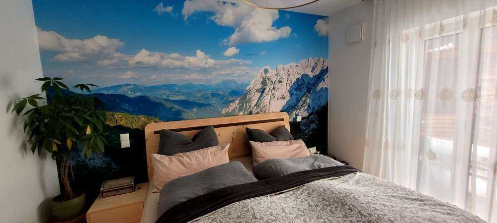 Green tropical forest