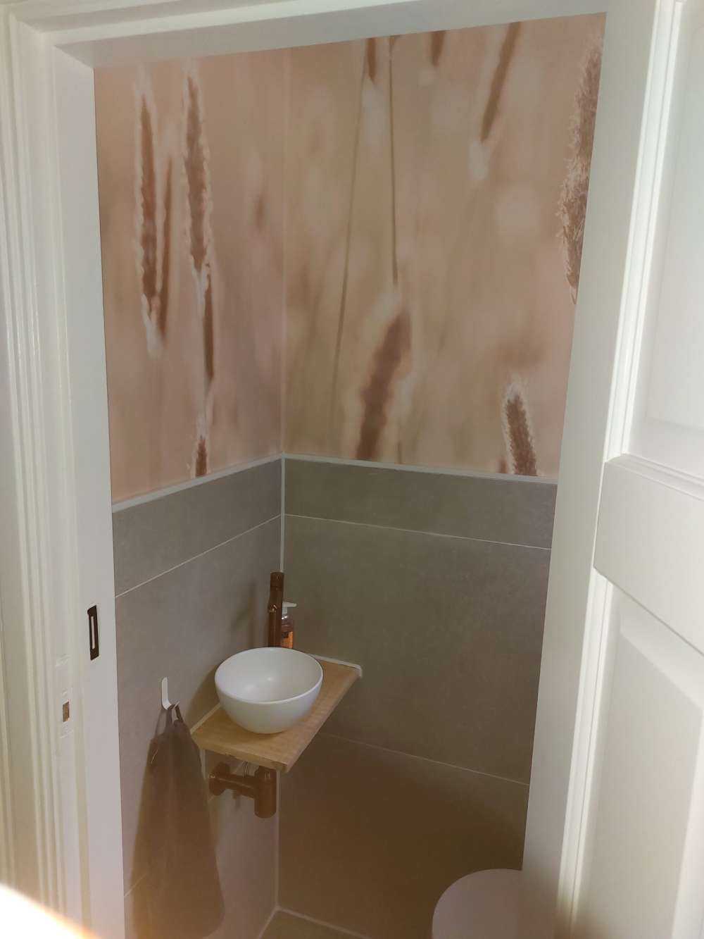 Sunlight through meadow