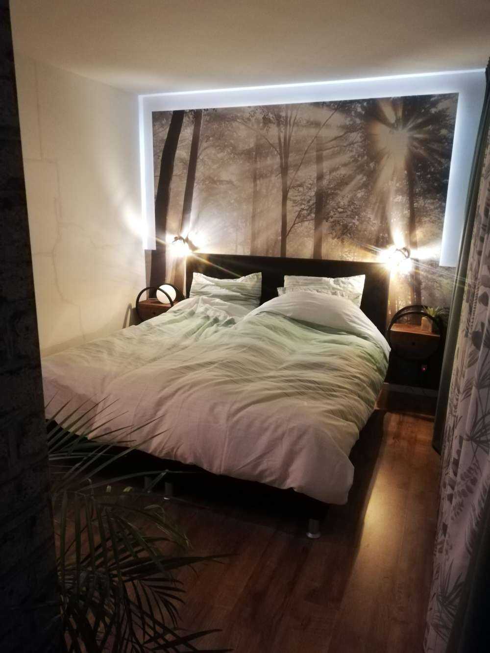 Forest in foggy weather