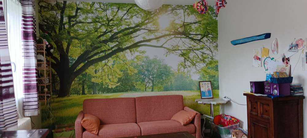 Beautiful tree with green grass