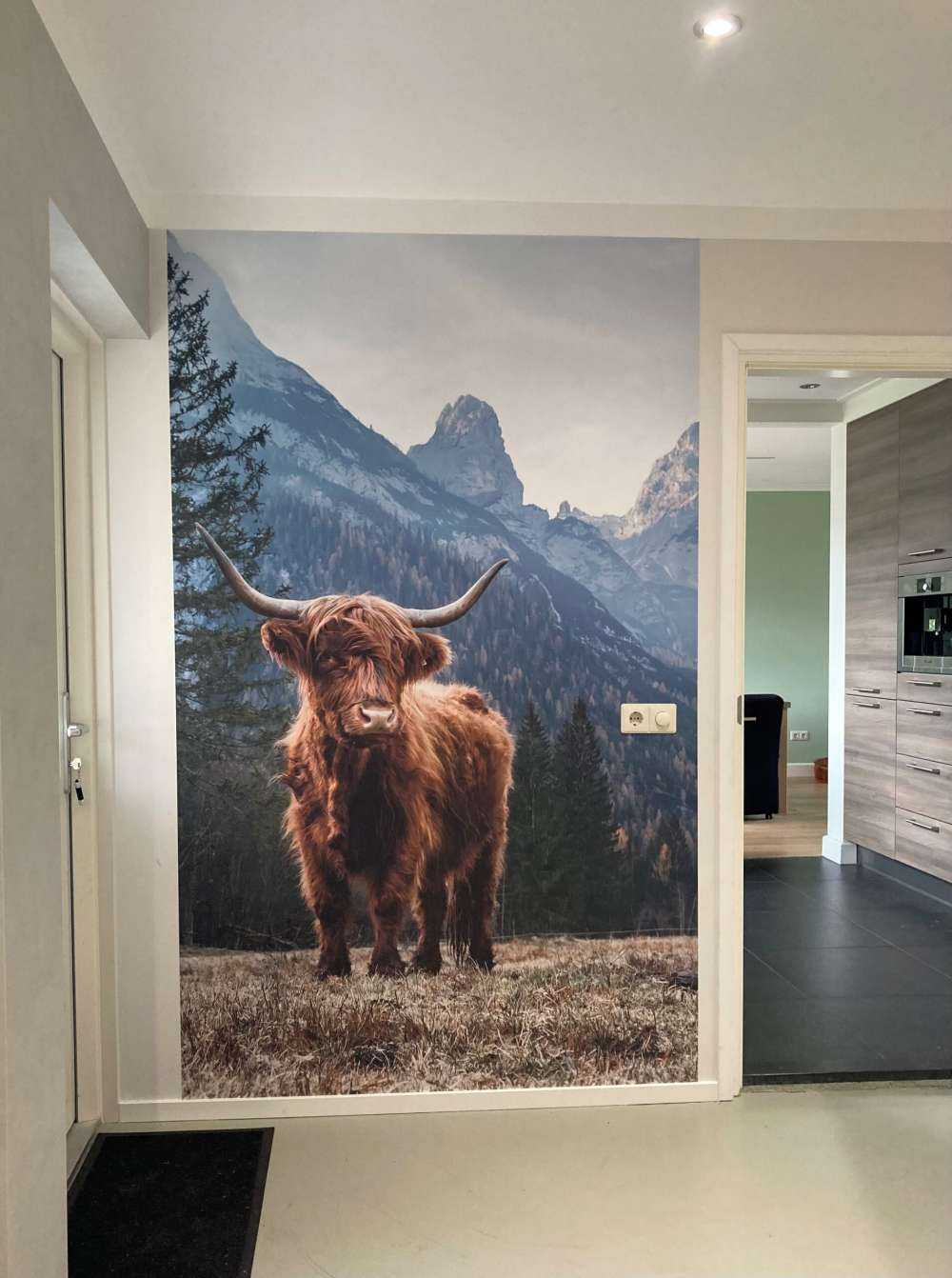 Scottish highlander among the trees