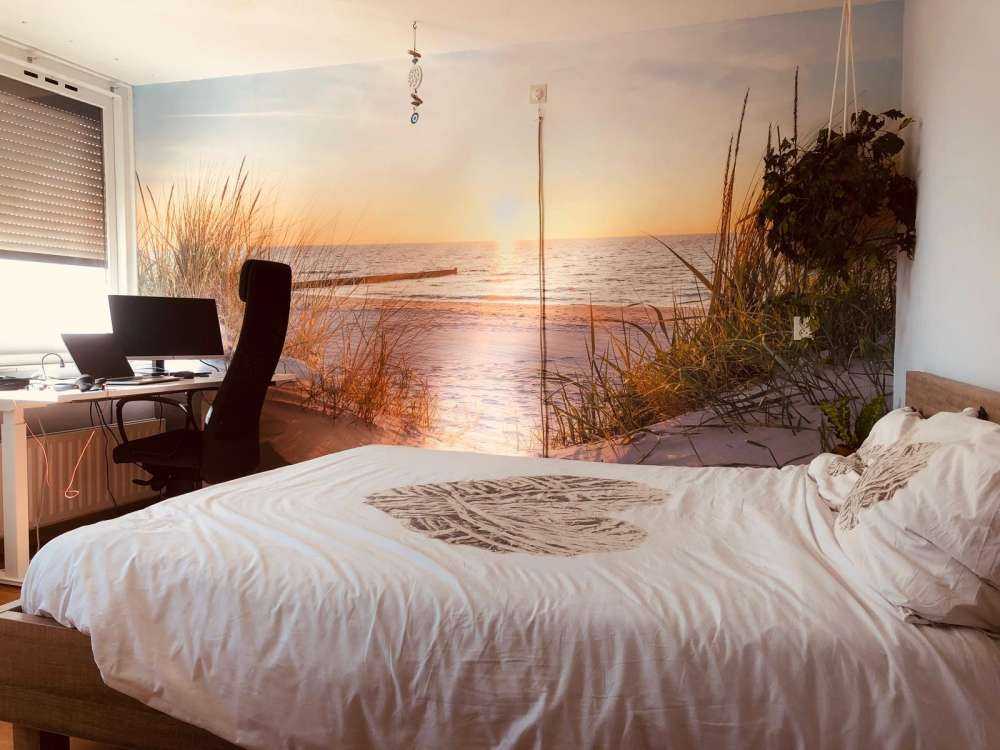 Dune beach with sunset