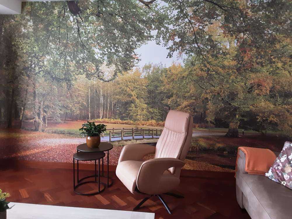 Bridge in the large forest