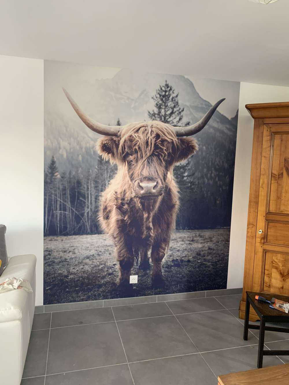 Scottish Highlander by the forest