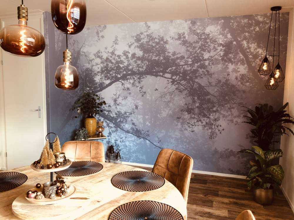 Beautiful forest in the fog