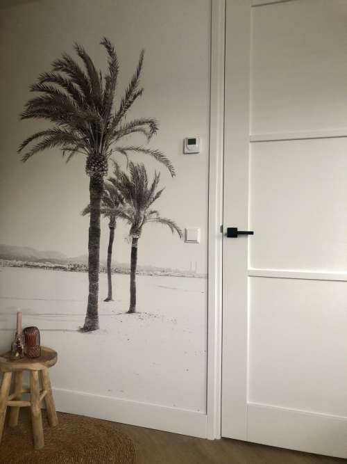 Palm trees together