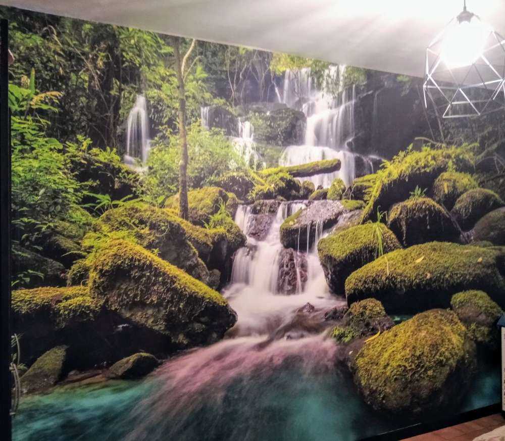 Waterfall in a jungle