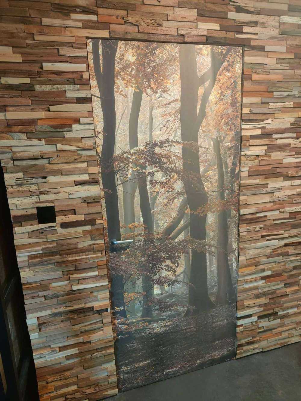 Autumn colours in the forest