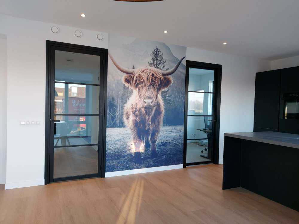 Scottish Highlander by the forest