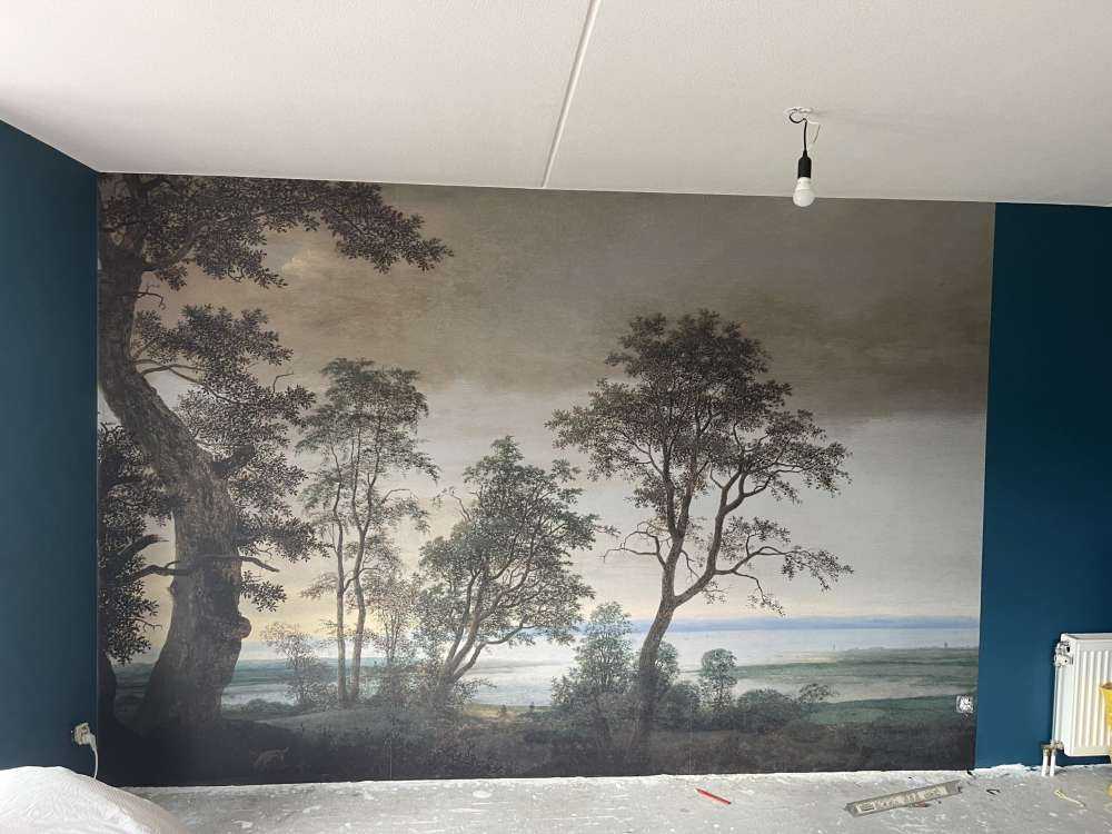 River landscape seen through trees