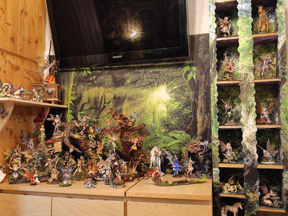 Tropical jungle with sunlight