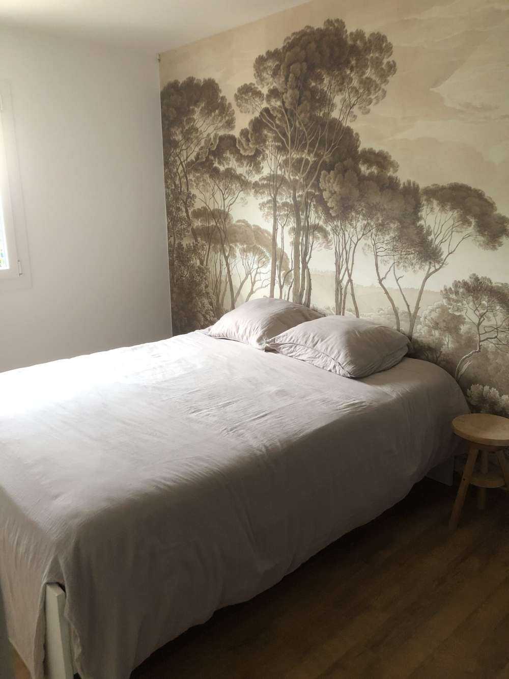 Forest landscape near Rome with setting sun