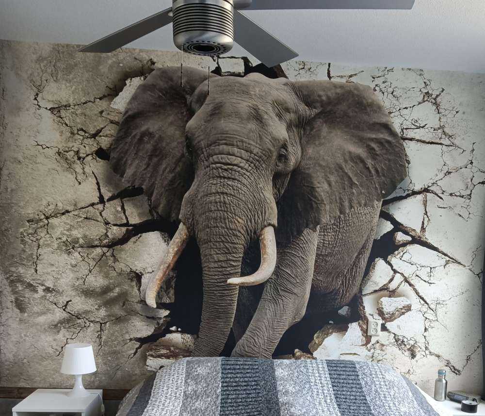 Big elephant out of the wall