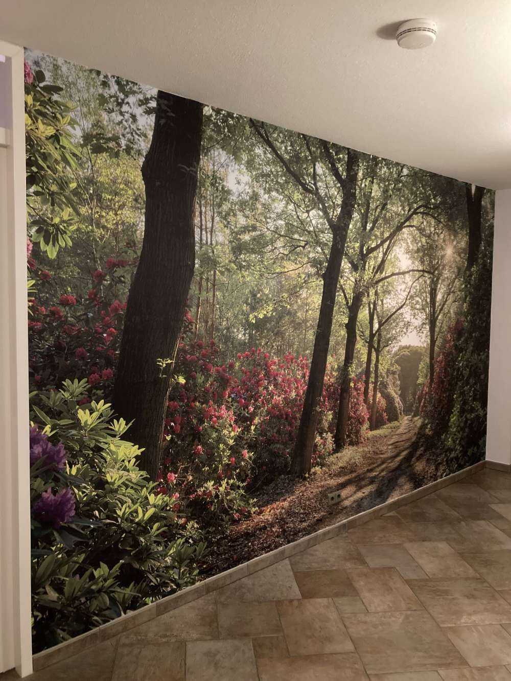 Sunrise at path with rhododendrons