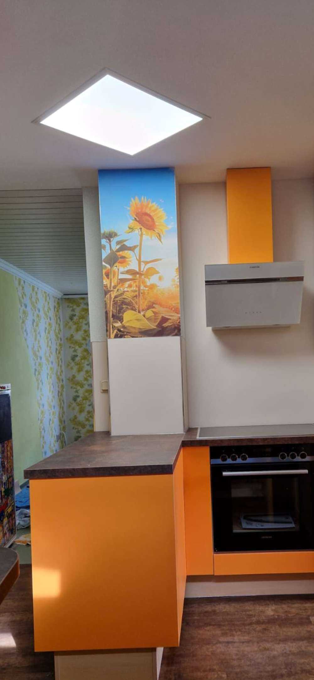 Sunflower with blue sky