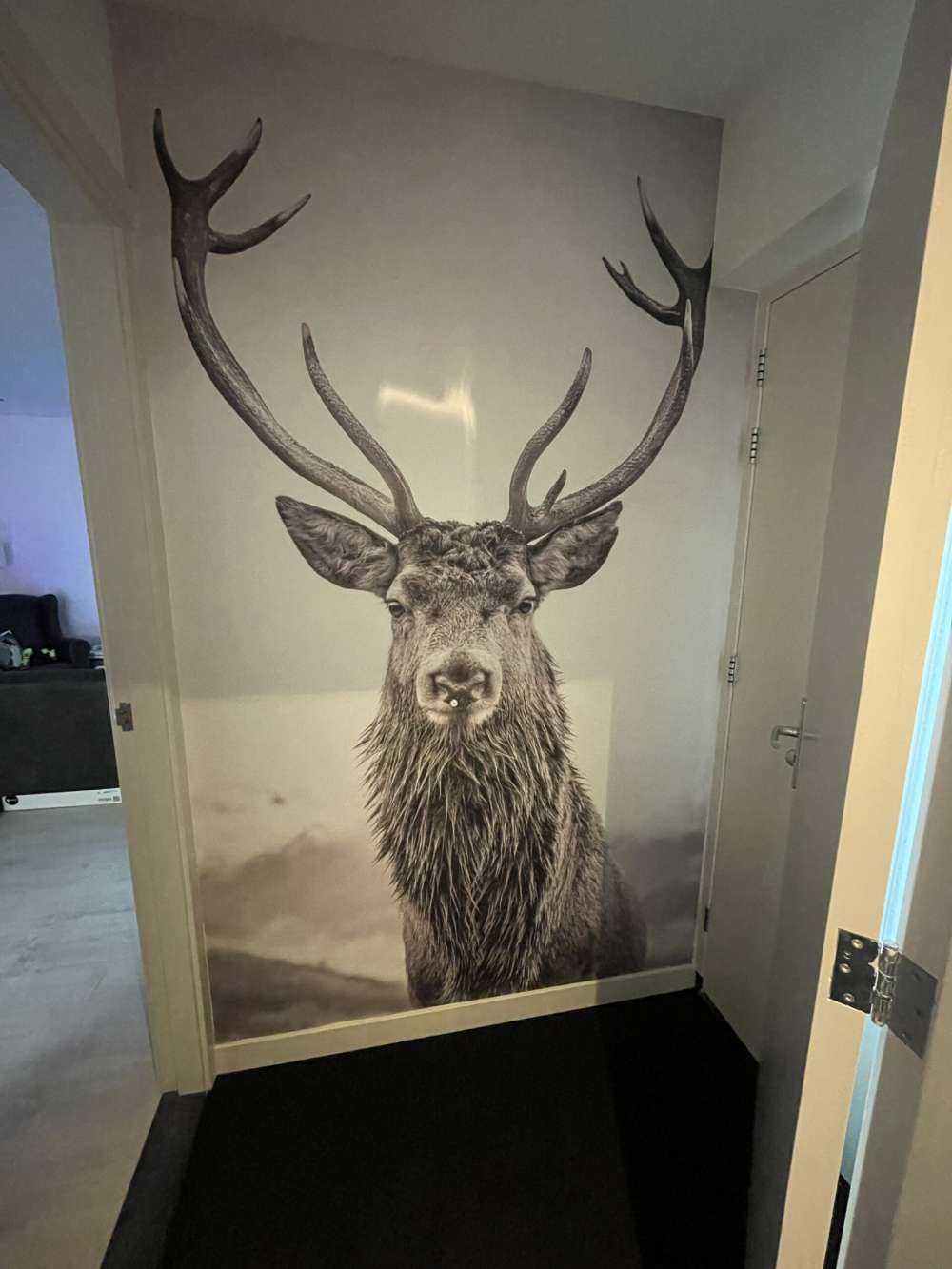 Big deer