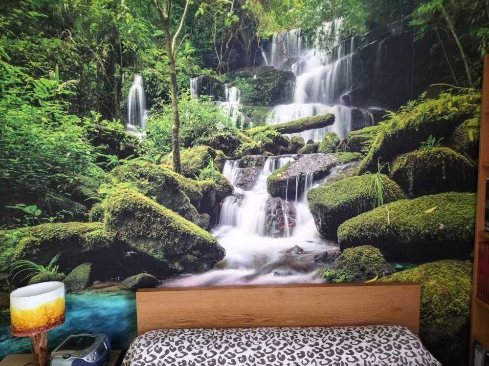 Waterfall in a jungle