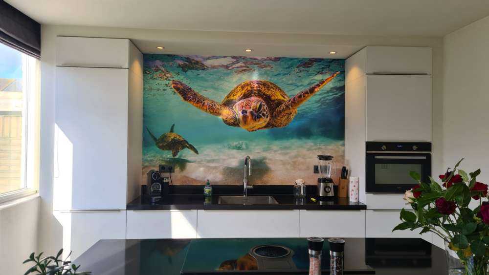 Sea turtle in the ocean