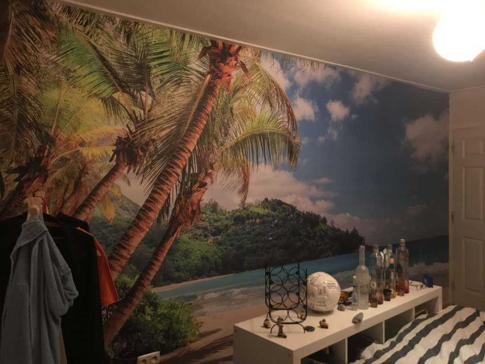 Beautiful beach with palms