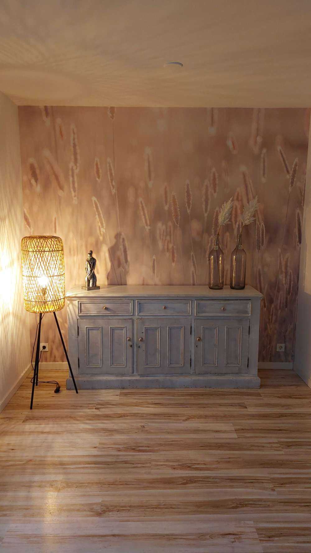 Meadow during the sunset