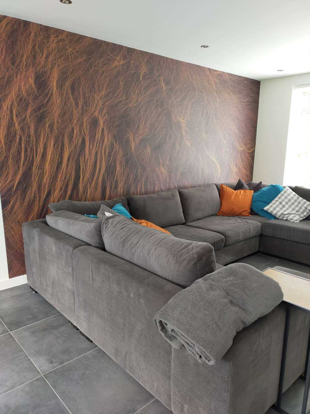 Scottish Highlander coat