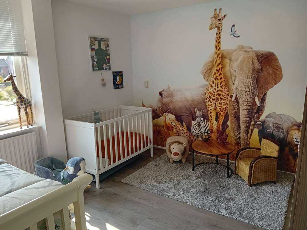 Animals in the savannah