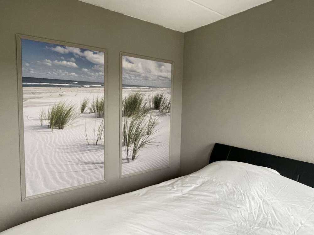 Beach with dune plants