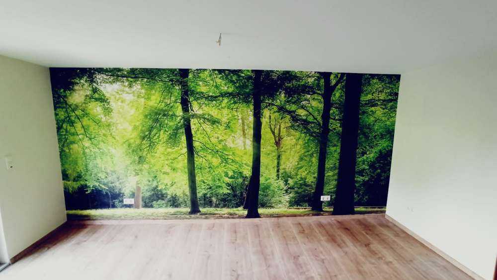 Forest with light mist