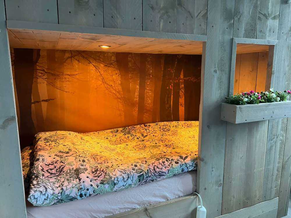 Mysterious autumn forest